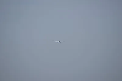 DSC_9582 (Large).JPG